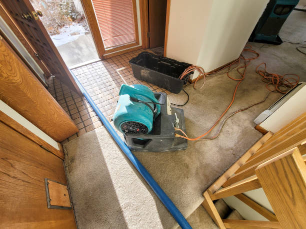 Best Water damage restoration services  in Youngsville, PA