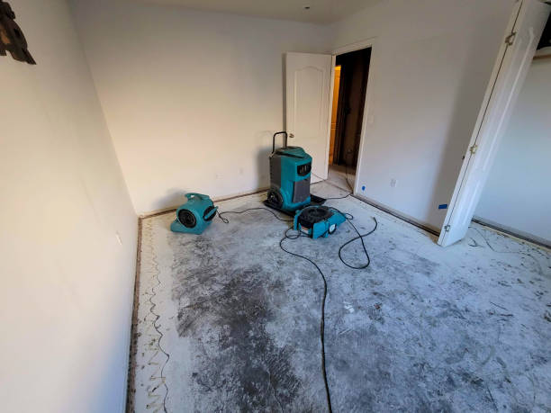 Best Water damage contractors near me  in Youngsville, PA