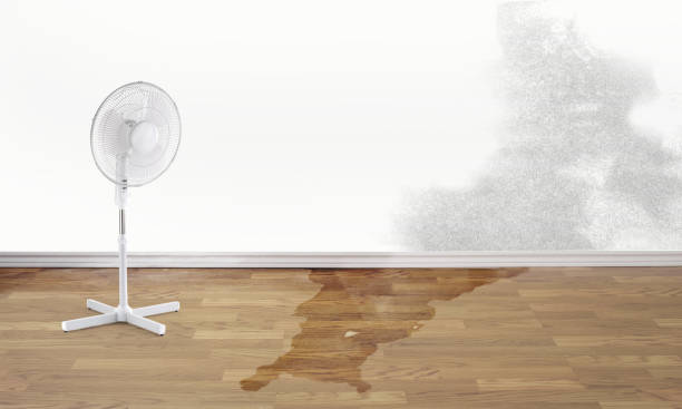 Best Basement water damage restoration  in Youngsville, PA