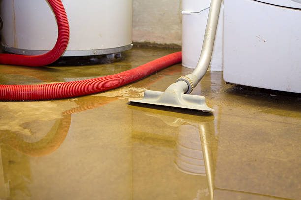 Best Water damage contractors near me  in Youngsville, PA