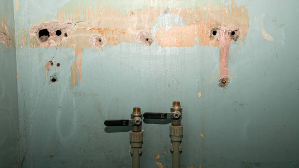 Best Commercial water damage restoration  in Youngsville, PA