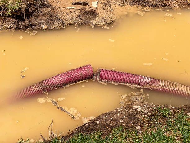 Best Water damage cleanup near me  in Youngsville, PA